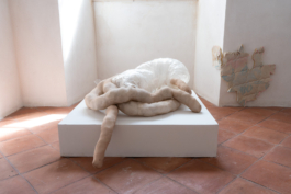 MACA - Museo Arte Contemporanea Alcamo