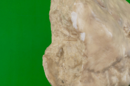 MACA - Museo Arte Contemporanea Alcamo