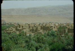 MACA - Museo Arte Contemporanea Alcamo